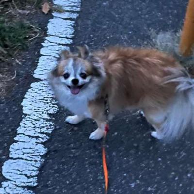 りむちん