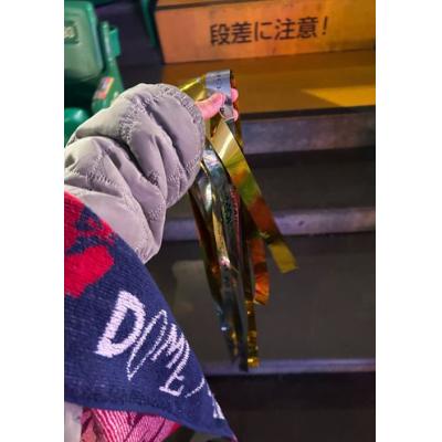 嗣実