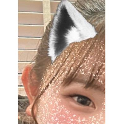 夏樹