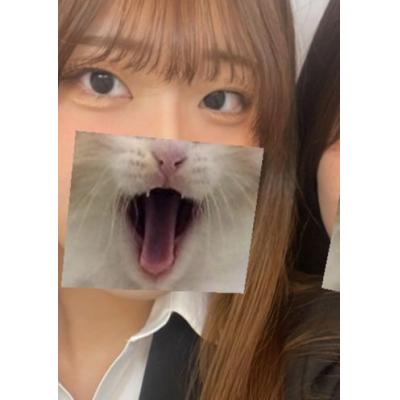 ケロッピ