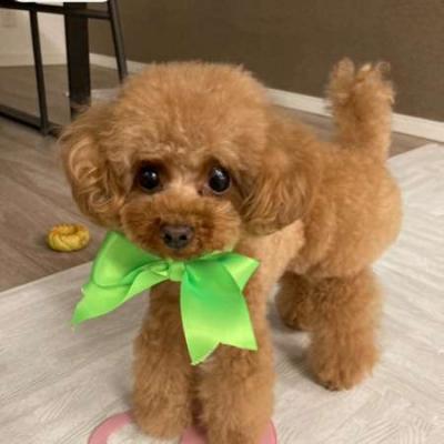 みーちゃん