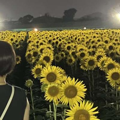 アイラ
