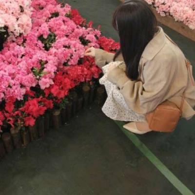 しる?ぁ