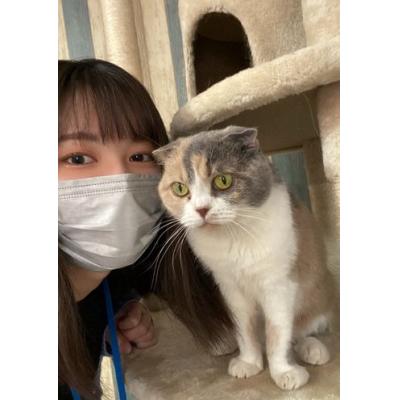 カラット